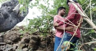 massaged cooks with oil slowly in the nearby forest